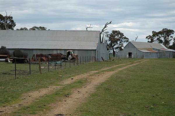 Boorowa (1/03/2013 11:29:57 AM)