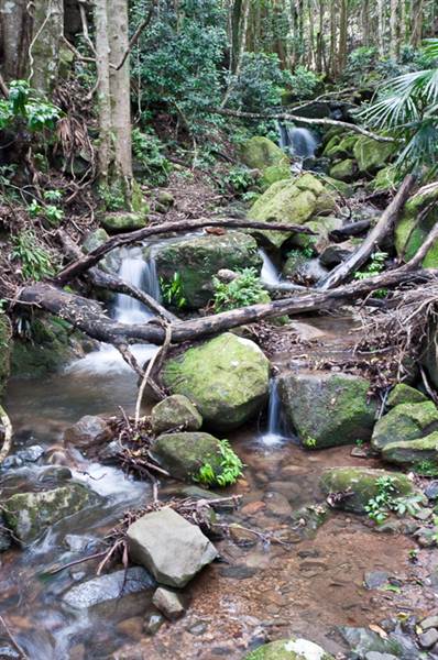 Jamberoo (1/03/2013 11:34:38 AM)