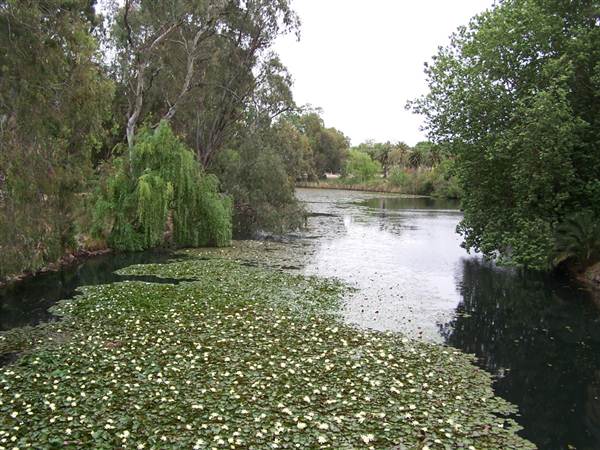 Wagga Wagga (1/03/2013 12:06:24 PM)