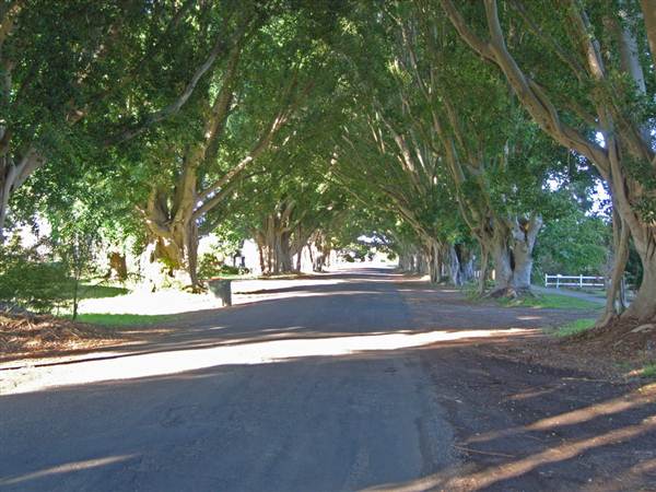 Briemba St, Grafton (1/03/2013 12:06:49 PM)