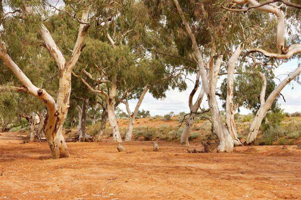 BROKEN HILL - Town & Surrounds (1/03/2013 7:09:54 PM)