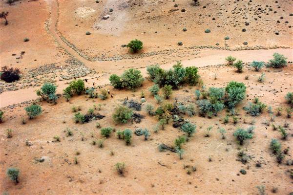 Broken Hill Area (Inc. Silverton) (1/03/2013 8:01:15 PM)