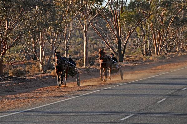 Broken Hill Area (Inc. Silverton) (1/03/2013 9:00:49 PM)