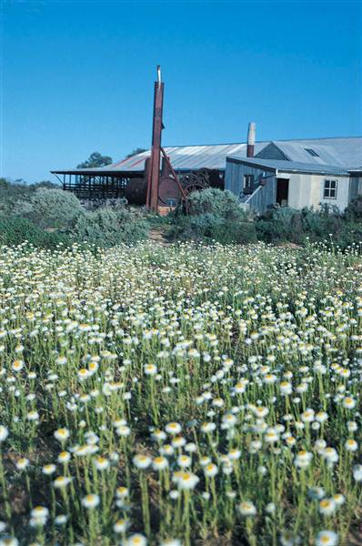 Broken Hill Area (Inc. Silverton) (1/03/2013 9:02:51 PM)