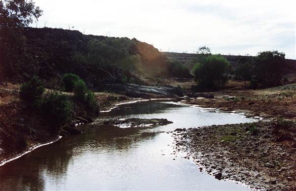 Broken Hill Poolamacca Station (2/03/2013 2:25:33 PM)