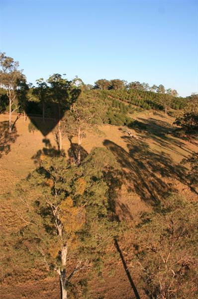 Byron Hinterland-Hot Air Balloon (2/03/2013 10:59:19 PM)