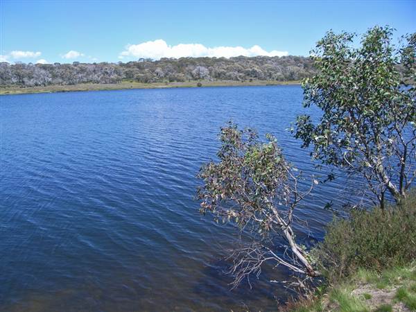 Cabramurra (2/03/2013 11:31:09 PM)