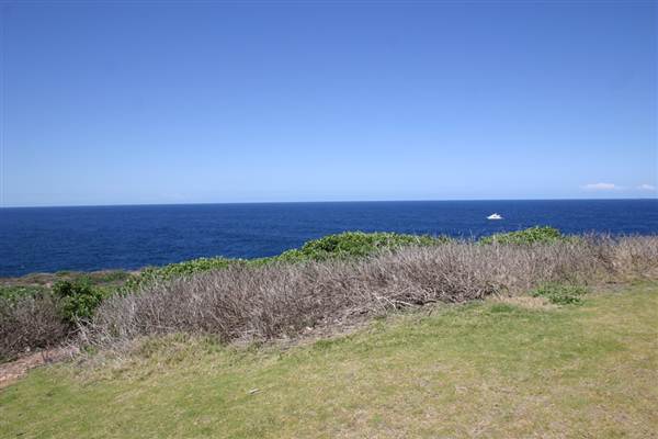 Cape Banks (3/03/2013 8:27:02 AM)