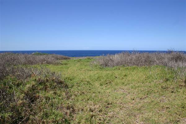 Cape Banks (3/03/2013 8:27:35 AM)