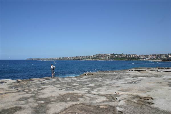 Clovelly Bay (3/03/2013 4:34:32 PM)
