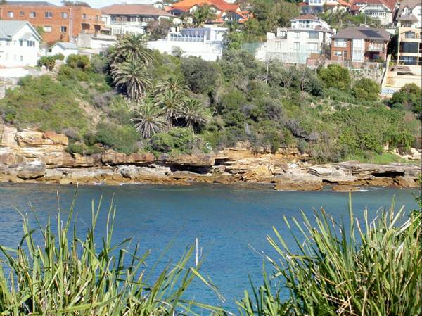 Clovelly Bay (3/03/2013 4:37:16 PM)