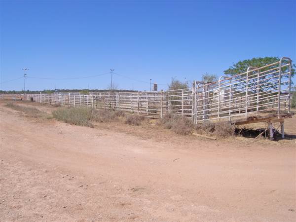 Cobar (4/03/2013 9:33:31 AM)