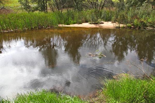 Cox's River at Duddawarra Bridge (4/03/2013 11:35:49 AM)