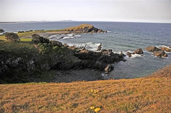 Crescent Head (4/03/2013 11:38:14 AM)