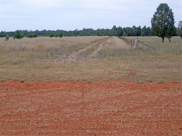 Gilgandra Aerodrome (4/03/2013 4:43:30 PM)