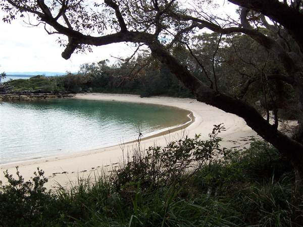 Honeymoon Beach, Beecroft Peninsula (5/03/2013 2:23:35 PM)