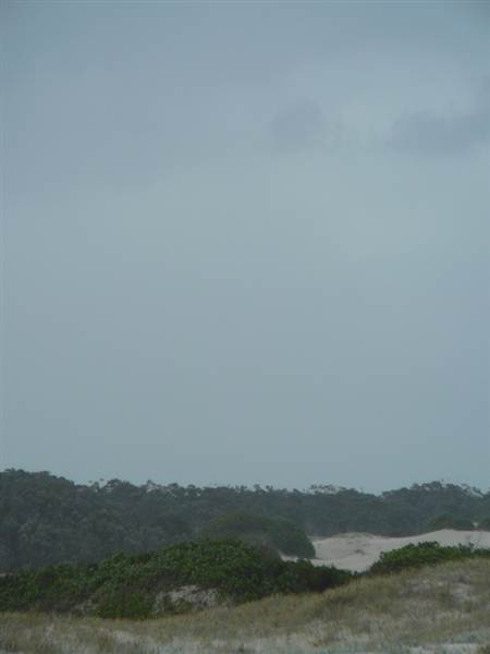 Killick Beach & Sand Dunes - Hat Head National Park (5/03/2013 7:30:03 PM)