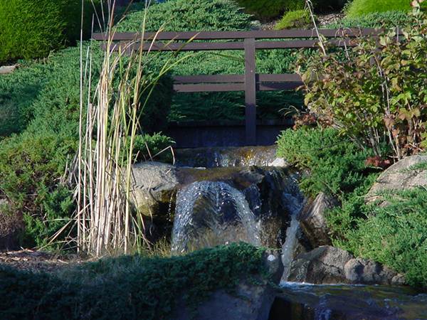 Japanese Gardens Cowra (5/03/2013 10:00:49 PM)