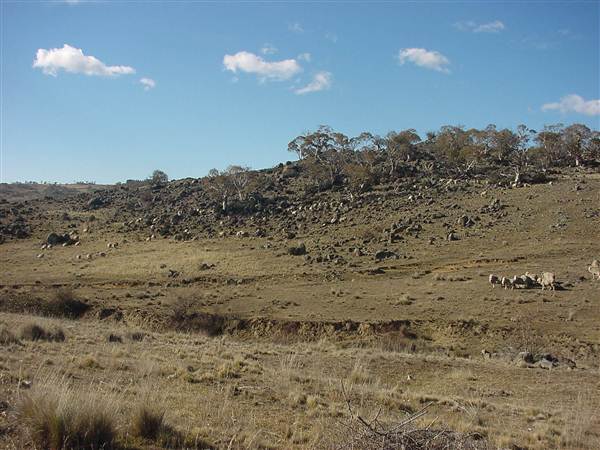Lake Jindabyne (5/03/2013 11:17:38 PM)
