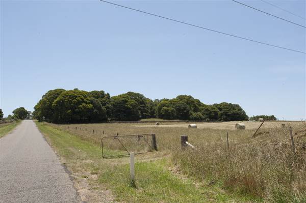 Rural Road - Kangaloon Road (5/03/2013 11:29:35 PM)