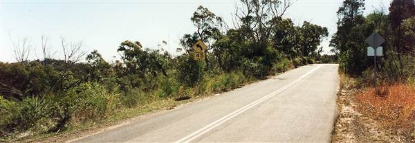 Ku-ring-gai Chase National Park (6/03/2013 11:31:05 AM)