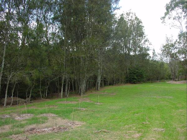 Lane Cove River (6/03/2013 12:07:35 PM)
