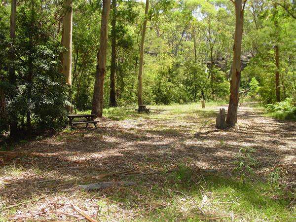 Lane Cove National Park (6/03/2013 12:09:51 PM)