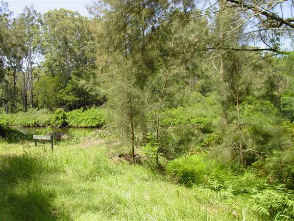Lane Cove National Park (6/03/2013 12:10:51 PM)