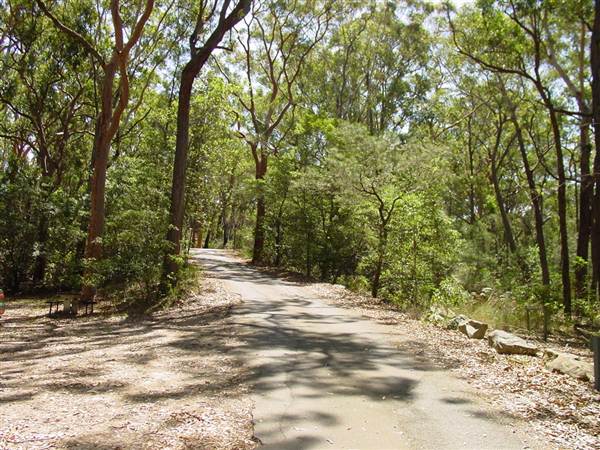 Lane Cove National Park (6/03/2013 12:13:36 PM)