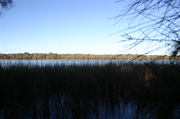 Myall Lakes National Park (6/03/2013 3:23:49 PM)