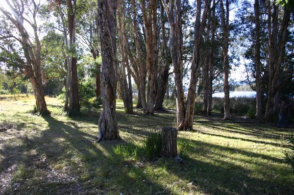Myall Lakes National Park (6/03/2013 3:24:11 PM)