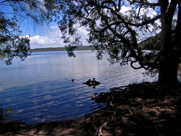 Myall Lakes National Park (6/03/2013 3:30:39 PM)