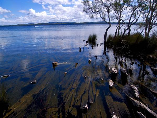 Myall Lakes National Park (6/03/2013 3:31:34 PM)