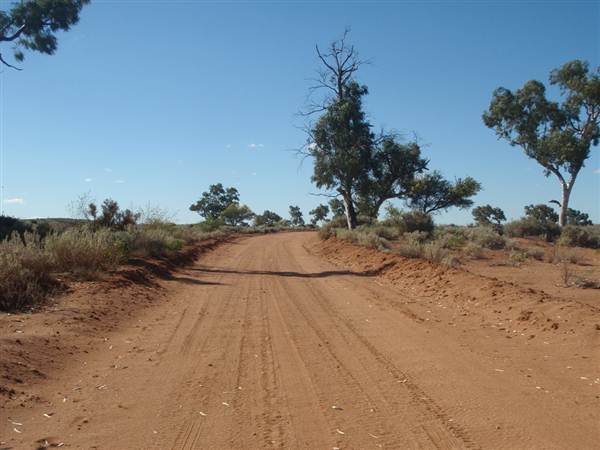Nine Mile Road, 2012 (7/03/2013 4:18:16 AM)
