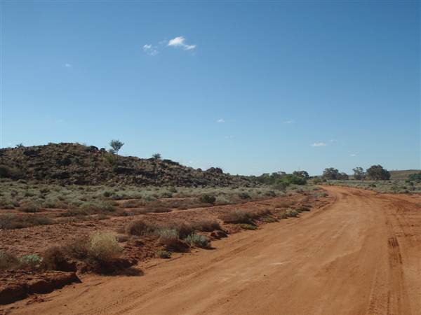 Nine Mile Road, 2012 (7/03/2013 4:19:25 AM)