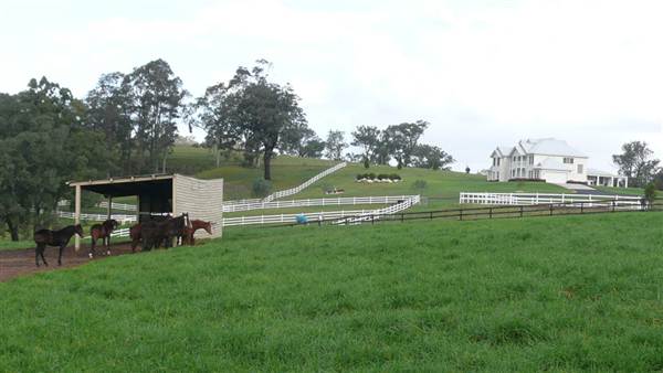 Lomar Park Stud (7/03/2013 10:03:42 AM)