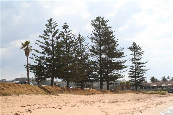 Long Reef Point (7/03/2013 10:23:47 AM)