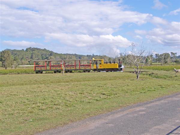 Tea Tree Estate (7/03/2013 12:11:44 PM)