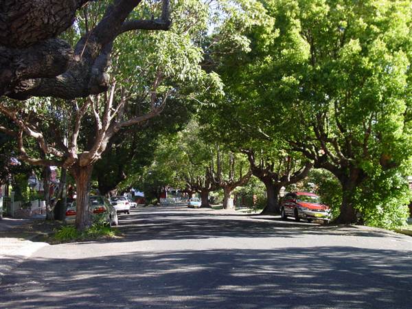 Marrickville Neighbourhood (7/03/2013 12:32:31 PM)