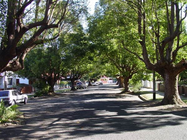 Marrickville Neighbourhood (7/03/2013 12:33:09 PM)