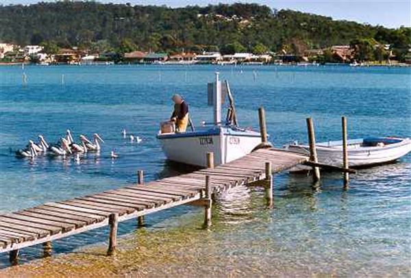 Merimbula (7/03/2013 1:02:39 PM)