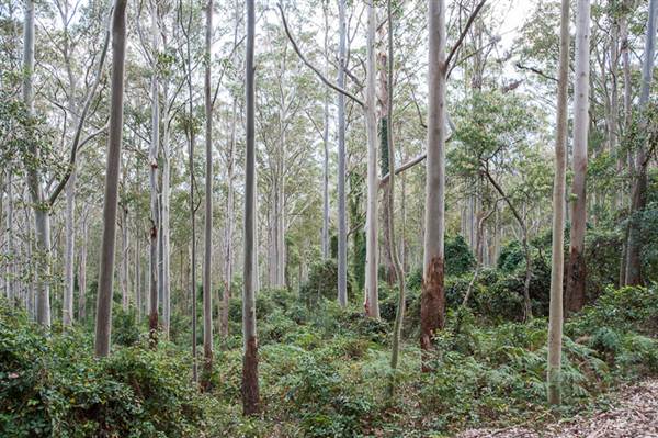 Murramarang National Park (7/03/2013 2:21:40 PM)