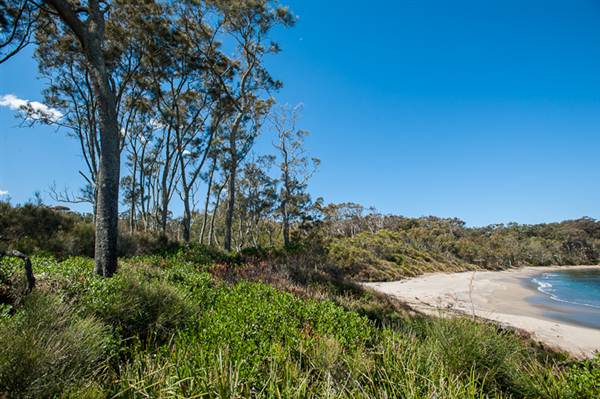 Murramarang National Park (7/03/2013 2:24:46 PM)