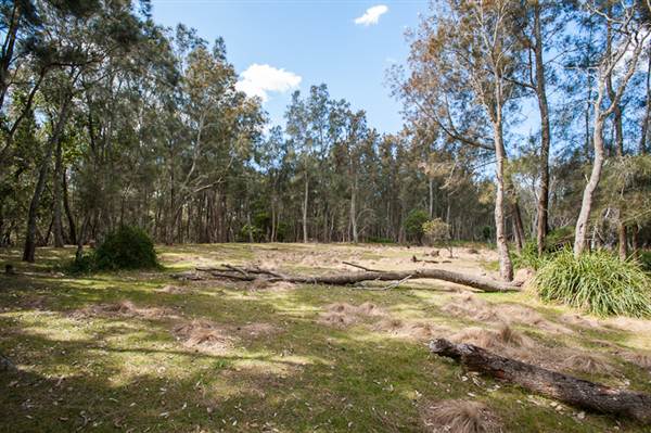 Murramarang National Park (7/03/2013 2:25:20 PM)