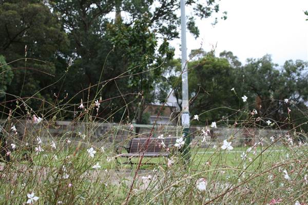 Newtown (7/03/2013 3:11:05 PM)
