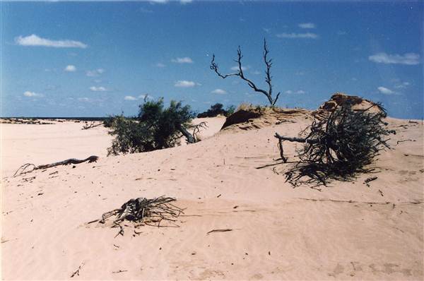 Milkengay Lake Sand Dunes (7/03/2013 11:04:08 PM)