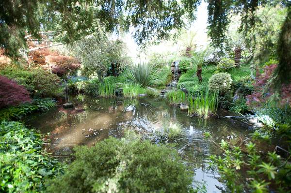 Milton Park Country House Hotel & Spa (7/03/2013 11:37:07 PM)
