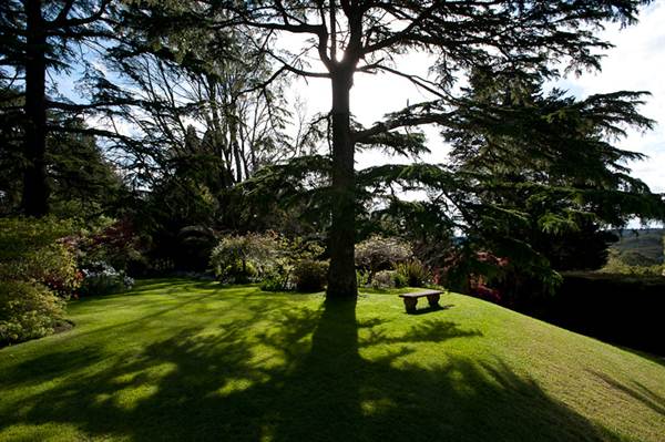 Milton Park Country House Hotel & Spa (7/03/2013 11:37:39 PM)