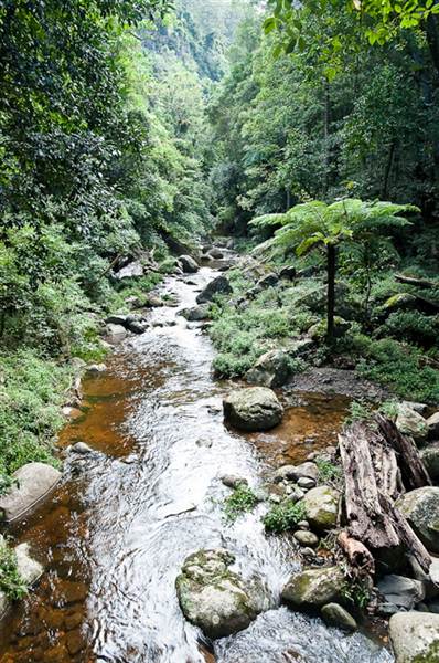 Minnamurra Falls (7/03/2013 11:41:49 PM)