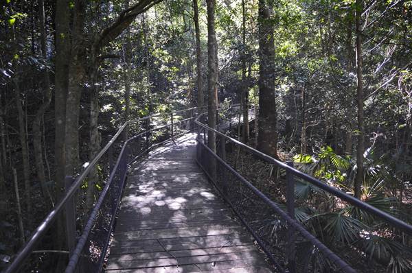 Minnamurra Falls (7/03/2013 11:42:50 PM)